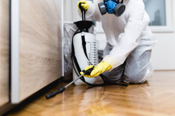 Best Wildlife Control Services  in Centereach, NY