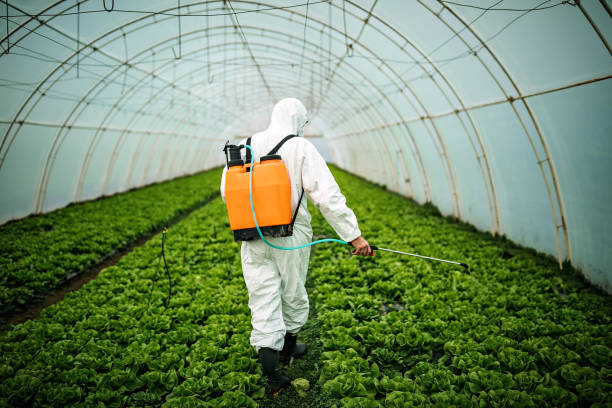 Best Pest Prevention Services  in Centereach, NY