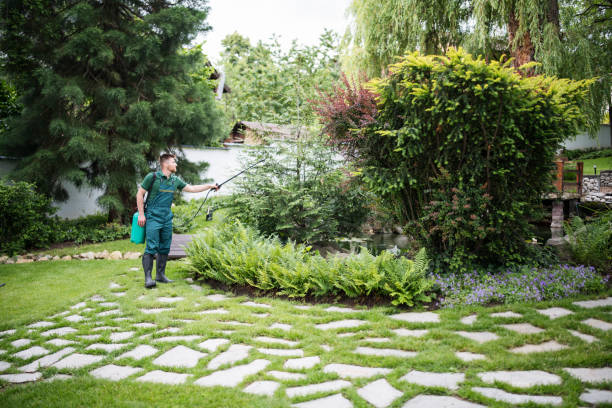 Wildlife Control Services in Centereach, NY