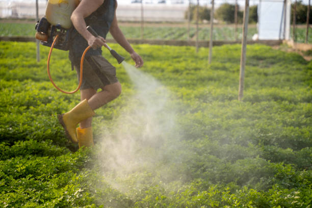 Reliable Centereach, NY Pest Control Solutions