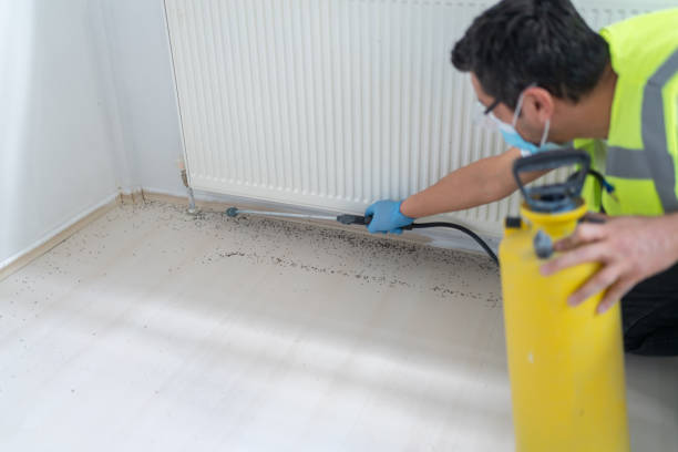 Best Residential Pest Control  in Centereach, NY