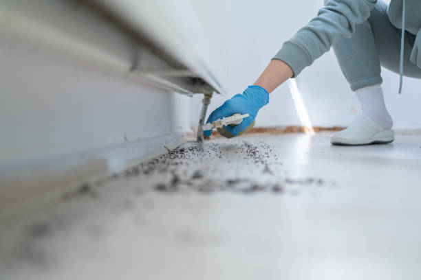Best Cockroach Control Services  in Centereach, NY