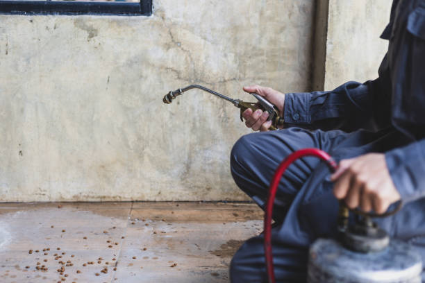 Best Mosquito Control Services  in Centereach, NY